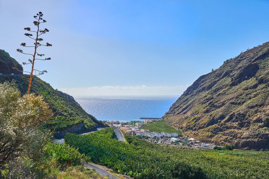 Scenic view of banana plantations around Los Llanos, La Palma in Spain. Beautiful farmland on the countryside against a blue sky and ocean. Green mountains surrounding a deserted farming town