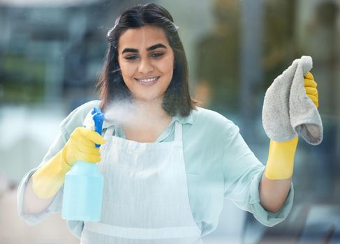 I love to clean and it shows. a woman using a spray bottle and cloth to clean a window.