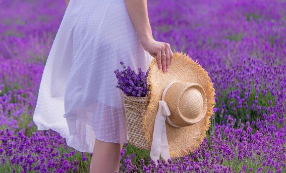 Woman in a field of lavender flowers in a white dress. selective focus