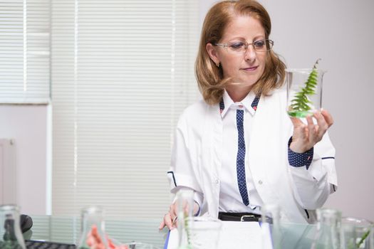 Female scientist checking the plant after doing biology test on it