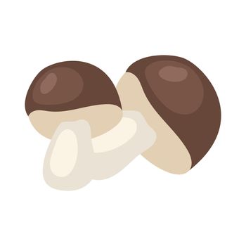Edible mushrooms semi flat color vector object