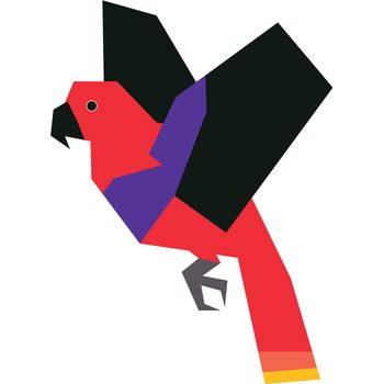 Colorful minimalistic illustration of a species of bird.