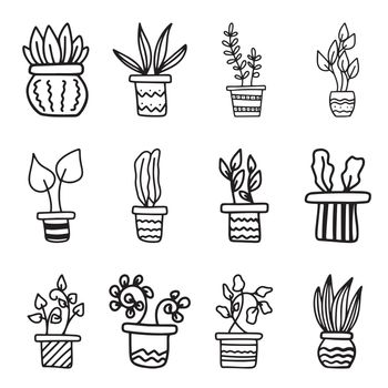 Set of simple doodle Vector houseplants and flowers in pots. Vector flat illustration