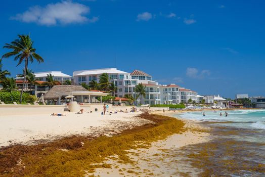 Sandy beach on a sunny day with hotels in Playa del Carmen, Mexico