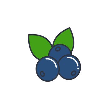 Blueberry with leaves color line icon isolated object