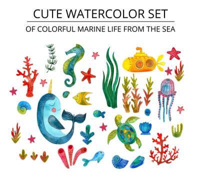 Cute set of colorful marine life from the sea Starfish, fur seal, corals, algae, fish, yellow submarine, snails