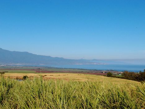 Maui Landscape view of sugarcane crops, mountains, coast, and ocean in Maui, Hawaii