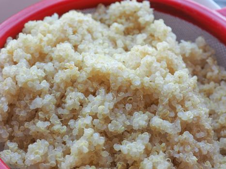 quinoa edible seeds cereals food
