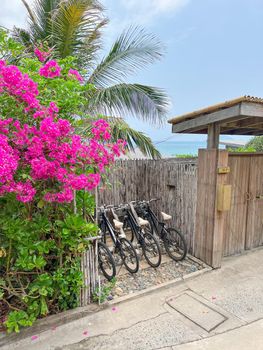 bicycles for hotel guests to enjoy a scenic ride along the property.