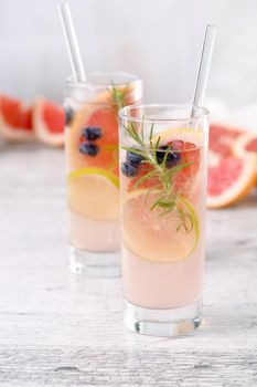 Paloma with blueberries and citrus