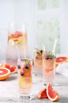 Paloma with blueberries and citrus
