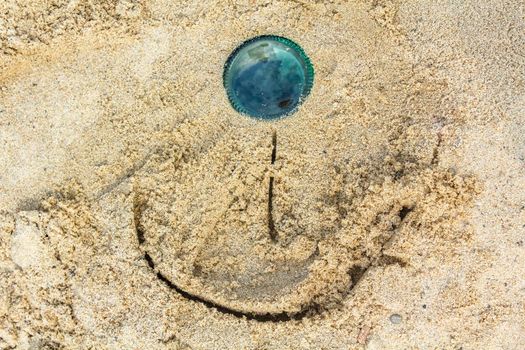 Wadden sea tidelands funny smile in sand Harrier Sand Germany.