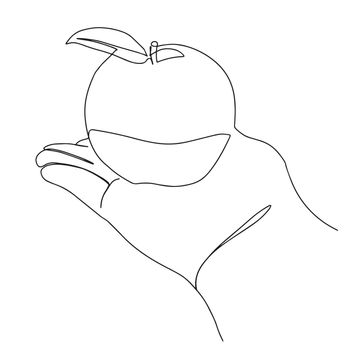 An apple on the hand. drawn One line vector illustration.