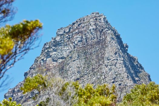Twelve Apostles at Table Mountain in Cape Town against a blue sky background from below. Breathtaking view of plants and shrubs growing around a majestic rocky valley and scenic landmark in nature