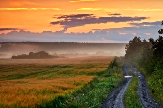 Countryside dirt road leading to agriculture fields or farm pasture in a remote area during sunrise or sunset with fog or mist. Landscape view of quiet scenery and mystical farming meadows in Germany.