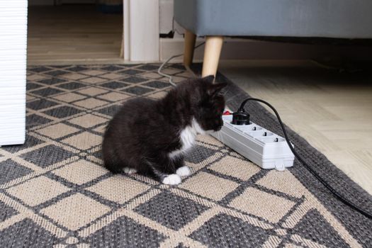 A small kitten playing with extension cord with sockets