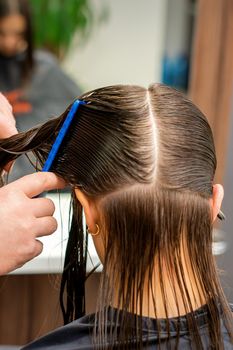 Hairdresser combing hair of woman