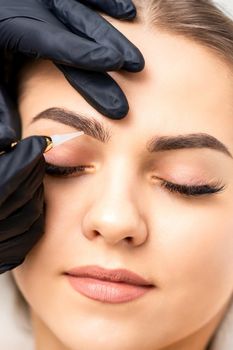 Permanent makeup on female eyebrows