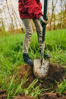 unrecognizable woman digging a big hole for planting a tree in the garden