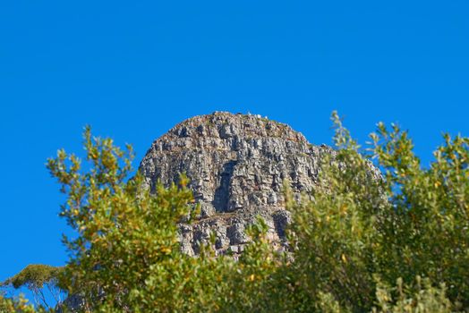 Landscape view of Lions Head mountain in popular tourism or hiking destination. Rough terrain with blue sky, copy space and lush green trees or plants growing in remote, wild Cape Town, South Africa