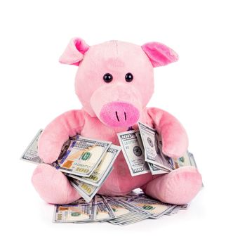 piggy bank and money. Piggy bank isolated on the white background