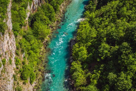 Montenegro natural landscape, mountain river Tara