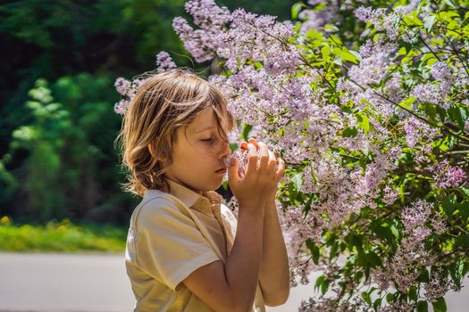 Little boy sniffing lilac bush. Concept of seasonal flowering and allergies