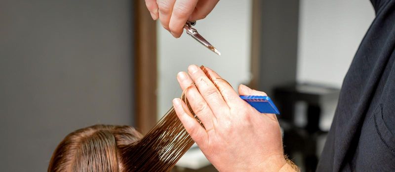 Hairdresser's hands cuts female hair