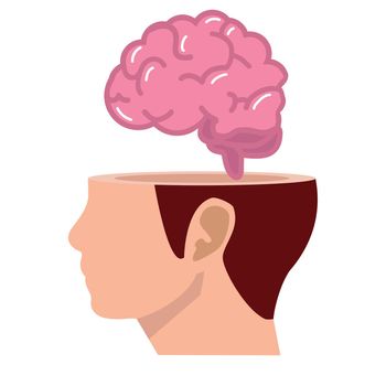 Brain in the human head think design vector
