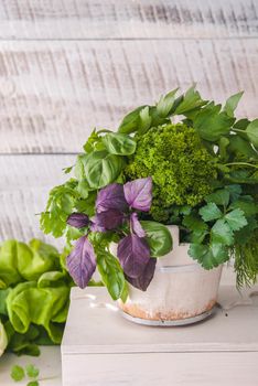 composition of fresh herbs in front of wooden background