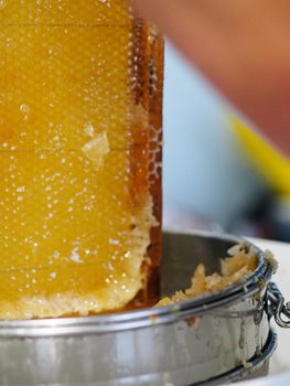 bee keeper extracting and dripping organic honey from bee honeycombs at home