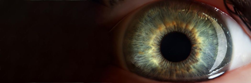 Persons eye, extreme macro shot of female or male sight organ, shadows of green eye colour