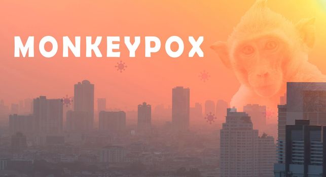 Monkeypox outbreak concept. Monkeypox is caused by monkeypox virus. Monkeypox outbreaks in the city need smallpox vaccine to prevention. Cityscape, monkey, and monkey pox virus background.