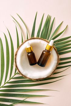 Coconut oil in bottle with open nuts and pulp in jar, green palm leaf background. Natural cosmetic products.