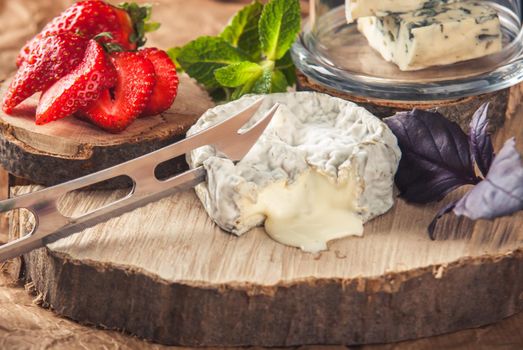 gourmet goat cheese with mold and soft liquid core