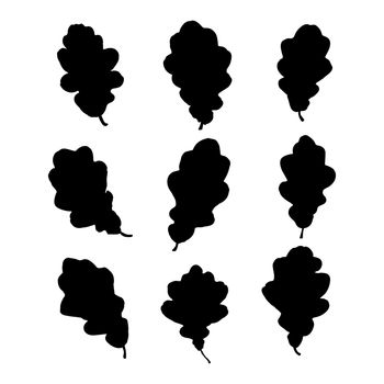 Various oak leaf silhouettes on the white background