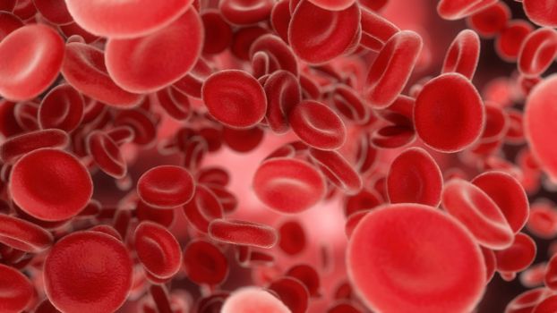 3d rendering Blood cells flowing through arteries or veins