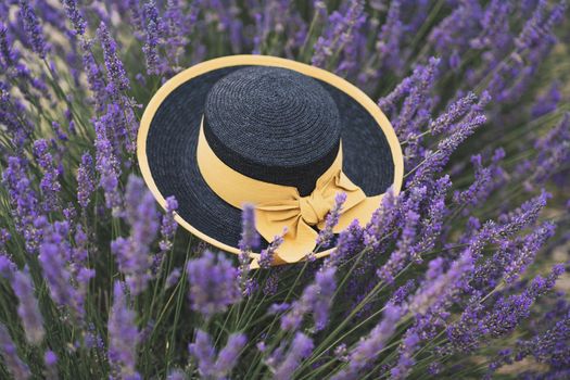 Black straw hat with yellow ribbon in a lavender field at Provence