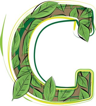 Green leaf alphabet vector Illustration LETTER C