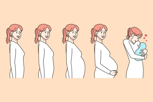 Stages of woman pregnancy