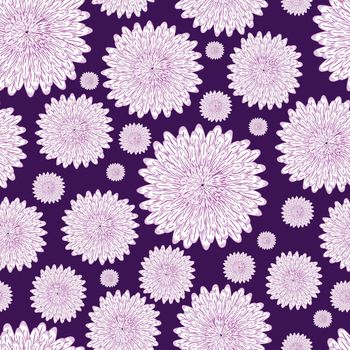 Seamless pattern with a botanical ornament of purple asters isolated on a white background for printing on textiles, home decor, wallpaper on the theme of flowering in the garden.