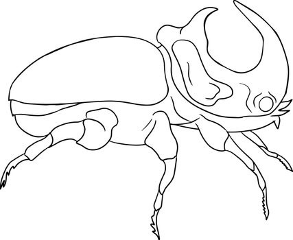 Rhinoceros beetle. Beetles coloring pages. Vector, hand drawn illustration.