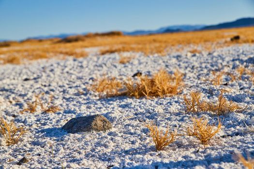 White sand and short yellow grasses with lone rock in desert