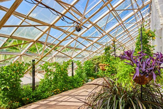 Path through stunning lush gardens with glass roof in greenhouse