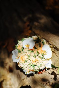 bridal bouquet on a tree