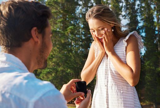 To be with you forever would be an honour. a young man proposing to his girlfriend in nature.