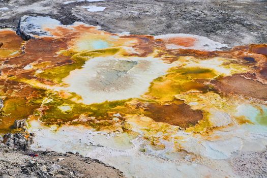 Vibrant and colorful springs at Yellowstone
