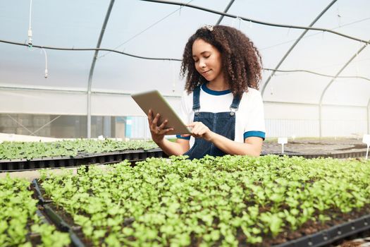 Checking on the crops. an attractive young woman using a tablet while working in a greenhouse on a farm.