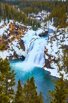 Winter at Yellowstone with snowy cliffs by Lower Falls surrounded in pine trees