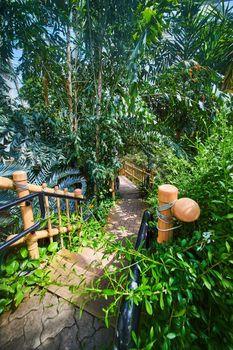 Simple path leading into deep rain forest gardens